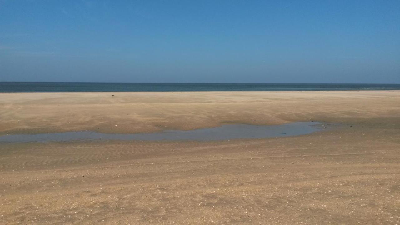 Vitamin Sea 赫姆斯格 外观 照片